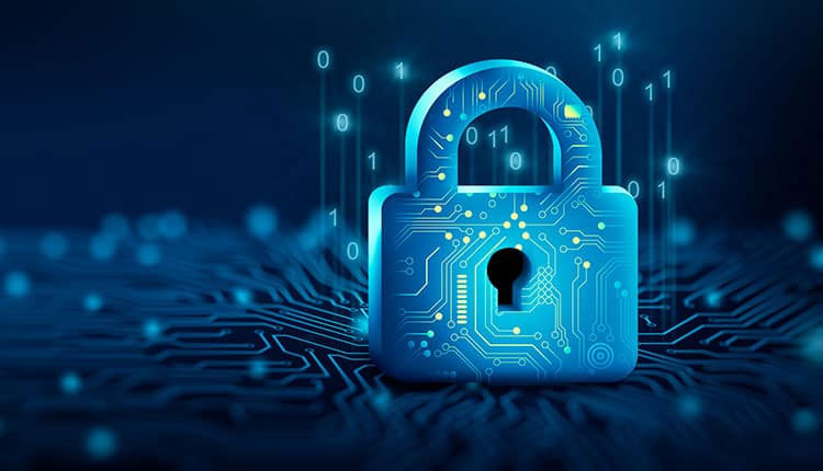 What the Process Looks Like